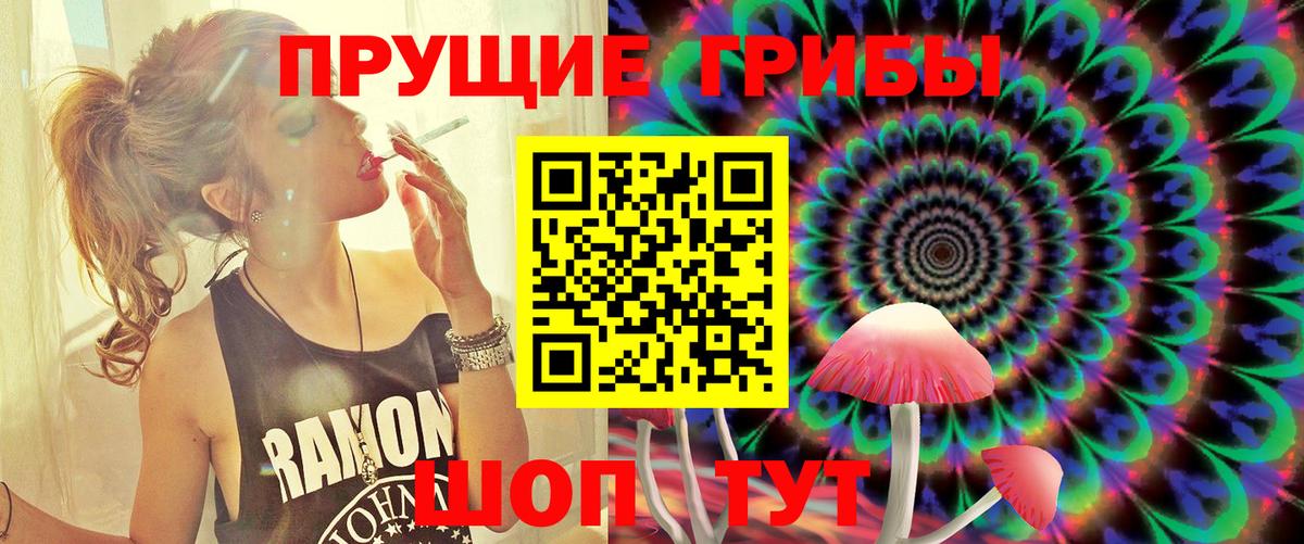Реж  Псилоцибиновые грибы GOLDEN TEACHER  Вход с VPN 